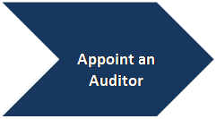 Chevron: Appoint an  Auditor  