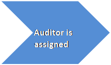 Chevron:         Auditor is      assigned  