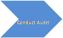 Chevron: Conduct Audit  